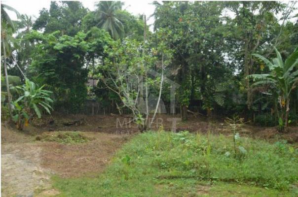 Land for Sale in Ratnapura- image 1