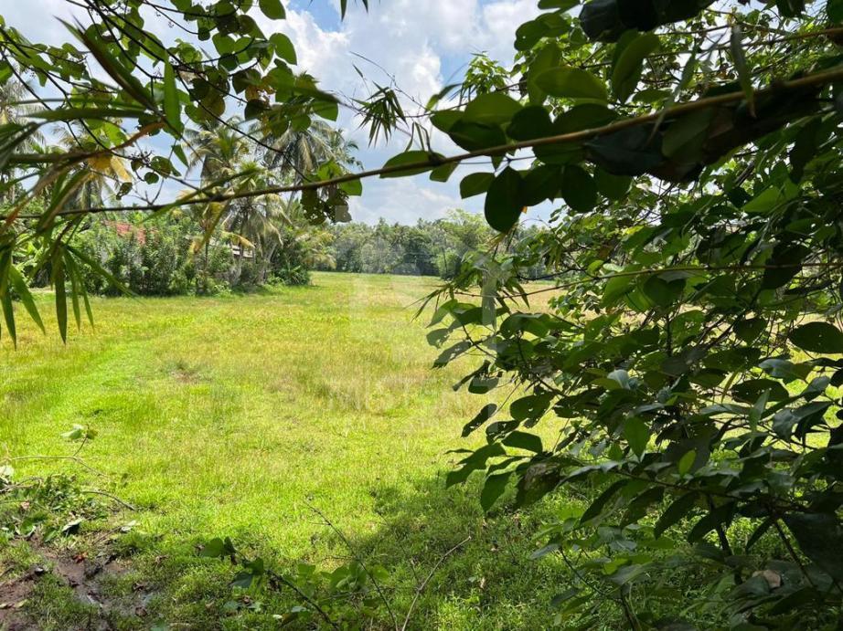 Land for Sale in Kiriwatthuduwa - image 1