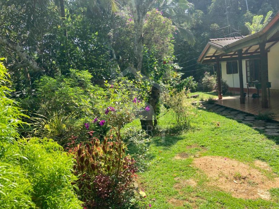 Land for Sale in Galle - image 1