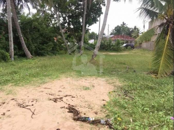Land for Sale in Tangalle - image 1