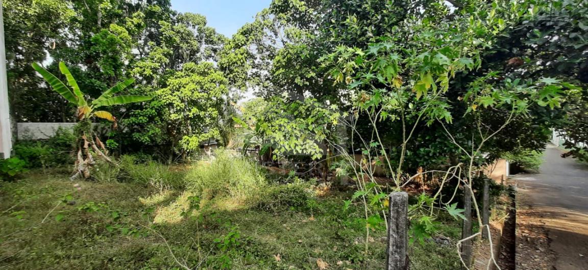 Land for Sale in Hokandara- image 2