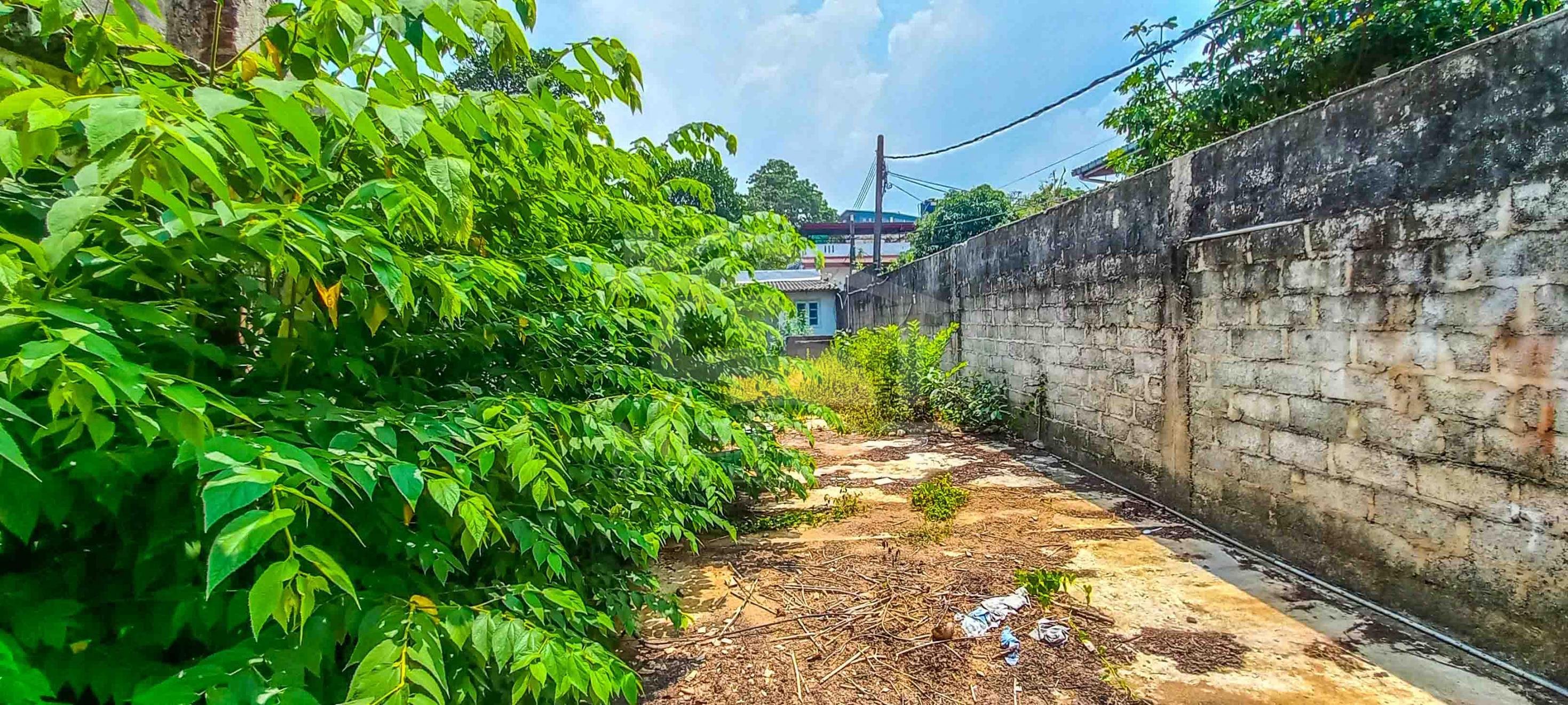 Land for Sale in Colombo 05 - image 2