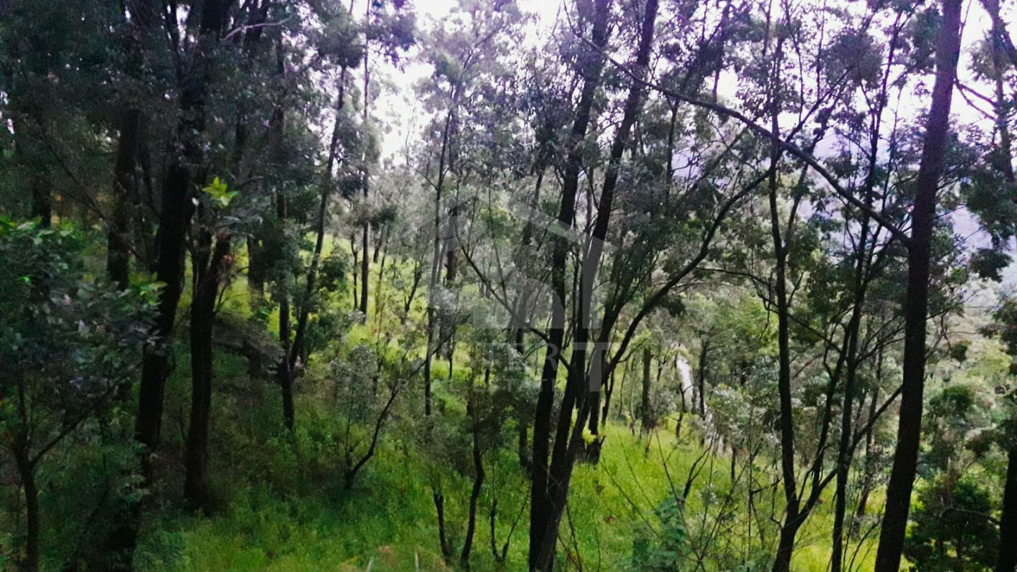 Land for Sale in Hanthana- image 2