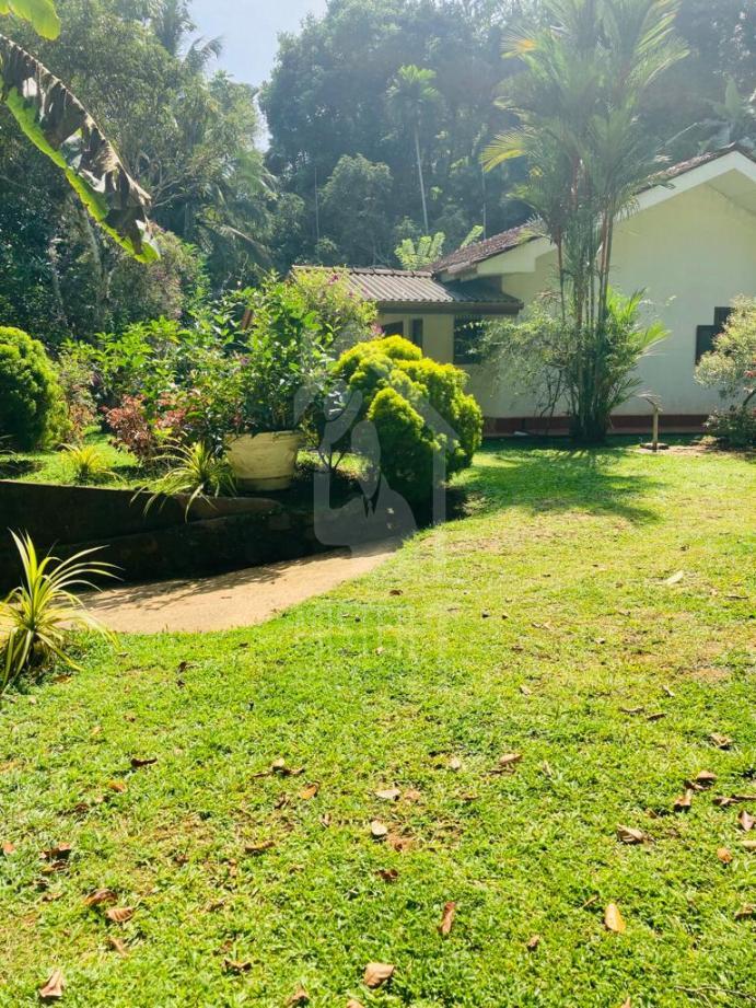 Land for Sale in Galle - image 2