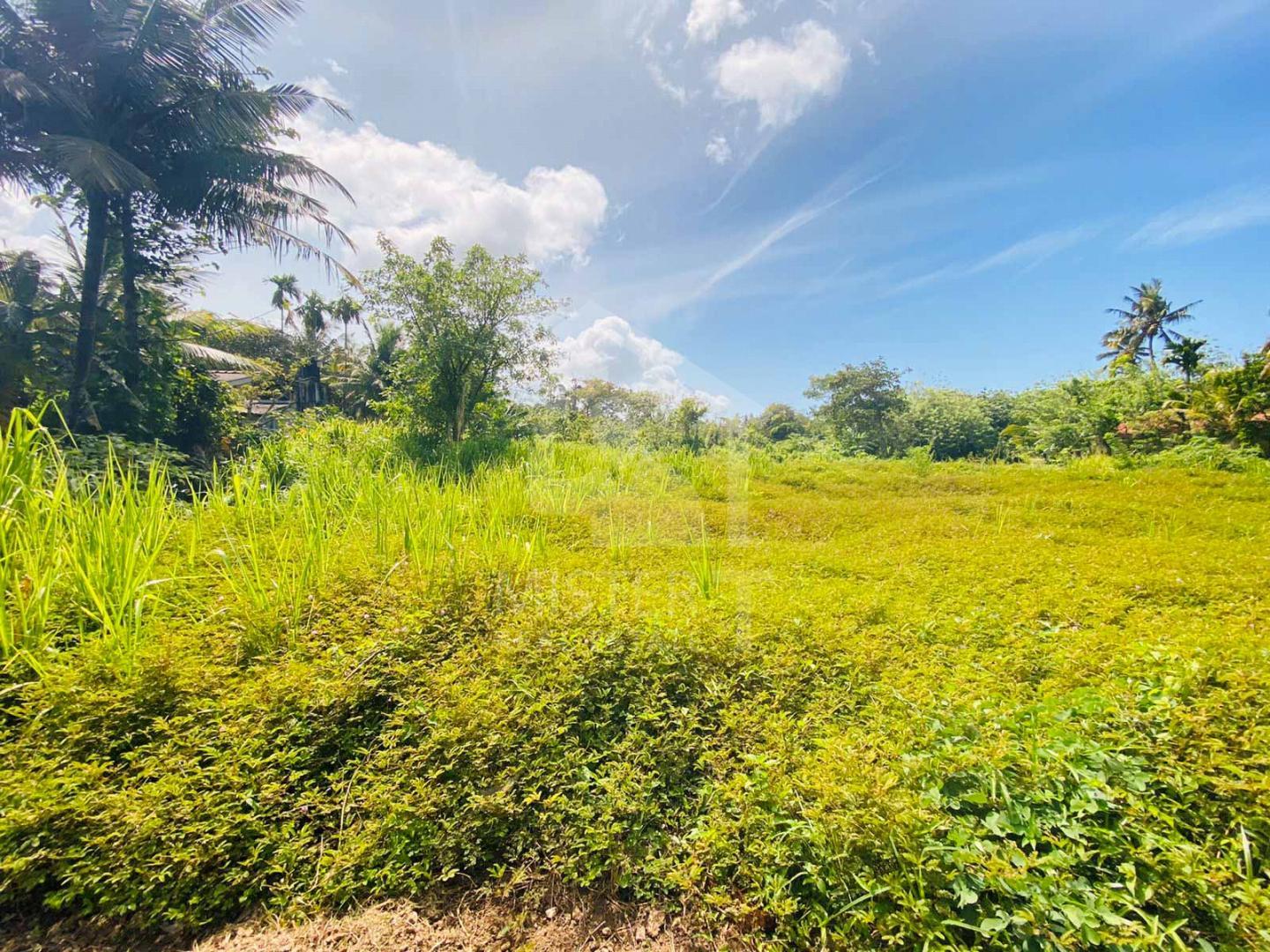 Land for Sale in Ahangama- image 2