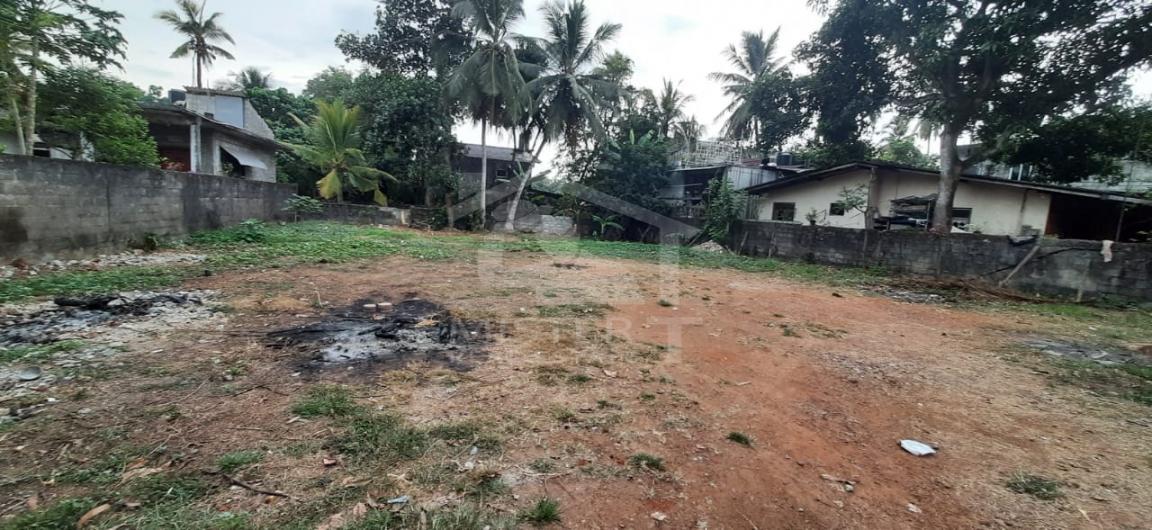  Bare Land for Sale in Hokandara - image 3