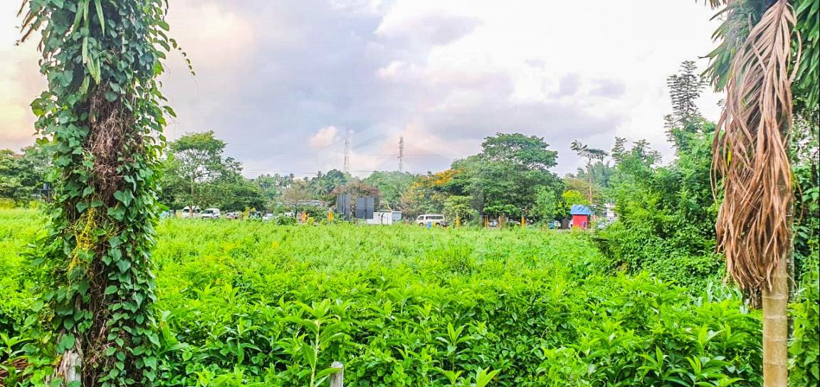 Land for Sale in Malabe - image 3