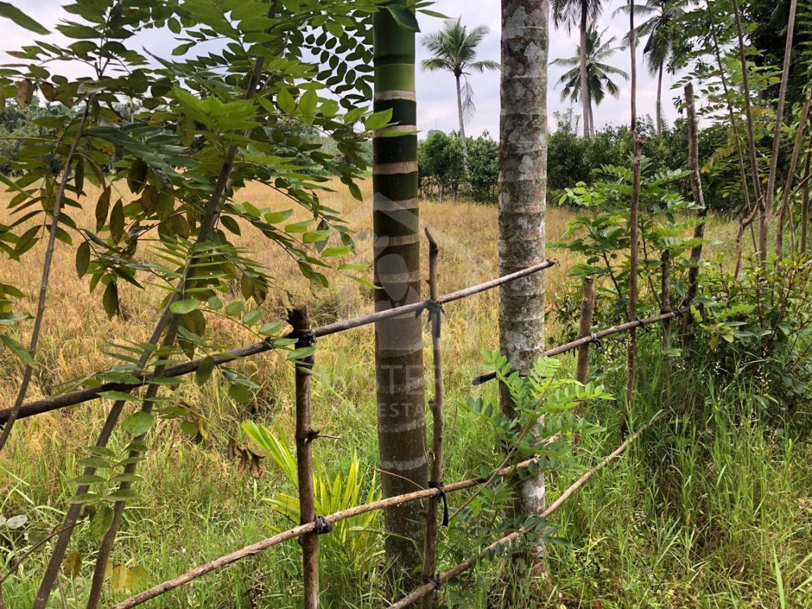 Land for Sale in Ambalangoda - image 3