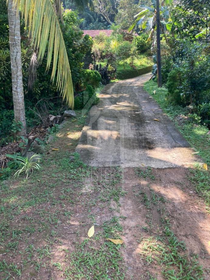 Land for Sale in Galle - image 4