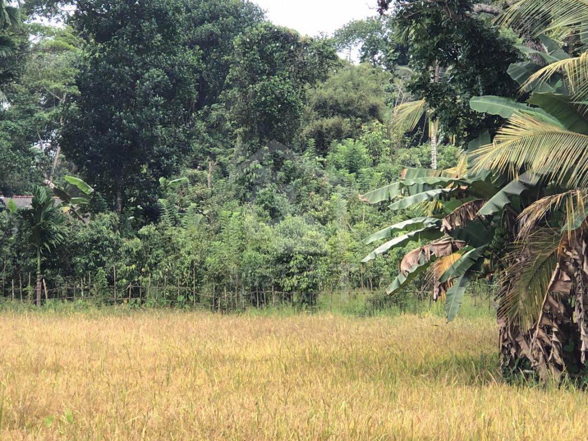 Land for Sale in Ambalangoda - image 4