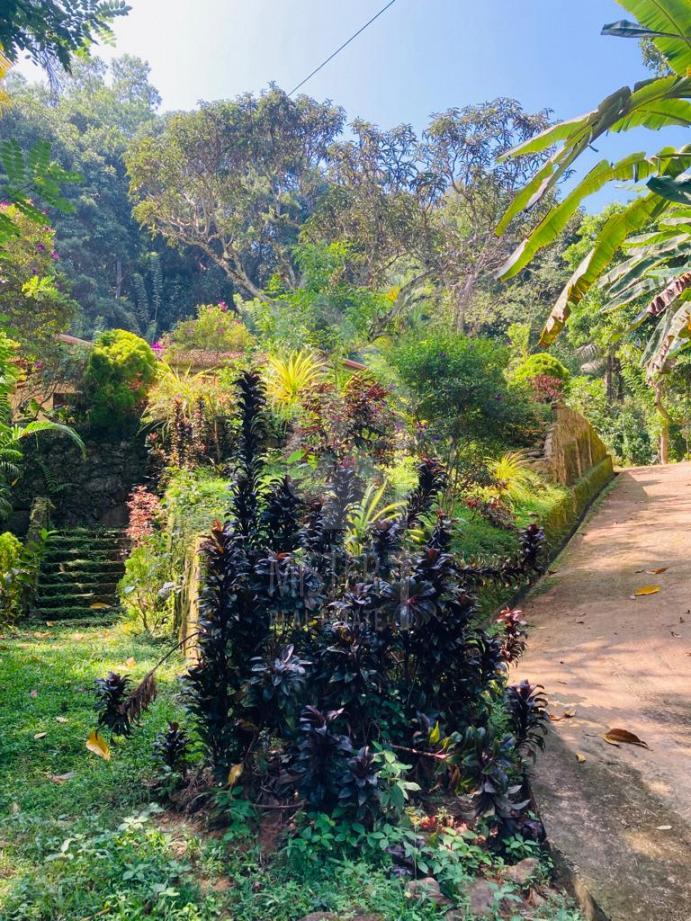 Land for Sale in Galle - image 5