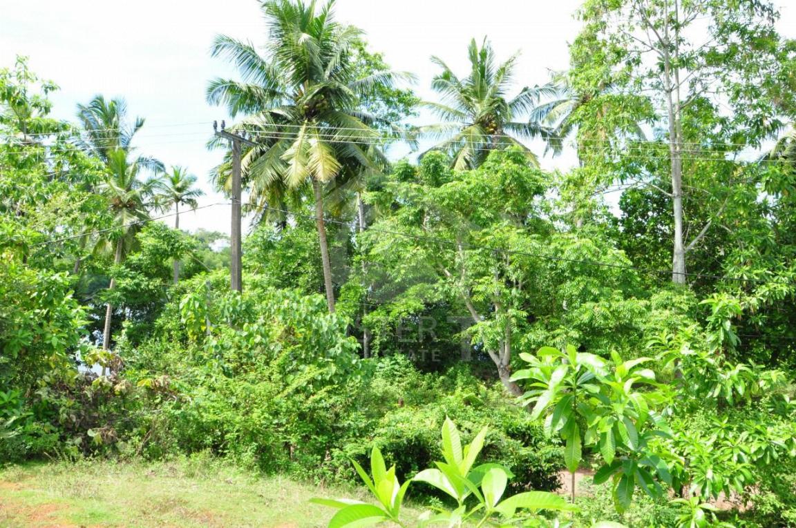 Land for Sale in Hikkaduwa - image 5