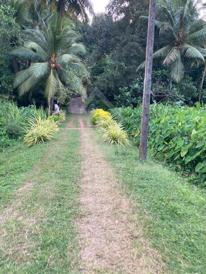 Land for Sale in Galle - image 6