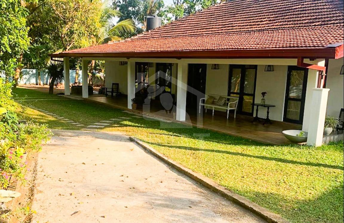 Commercial Property for Rent in Nugegoda- image 1