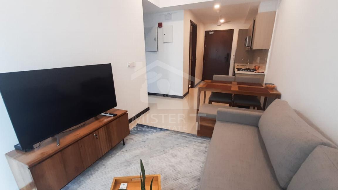 Apartment for Rent at Tri-Zen, Colombo 02- image 2