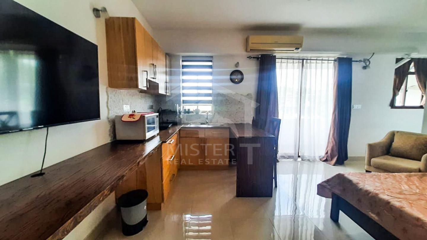 Studio Apartment for Rent in Colombo 05- image 4
