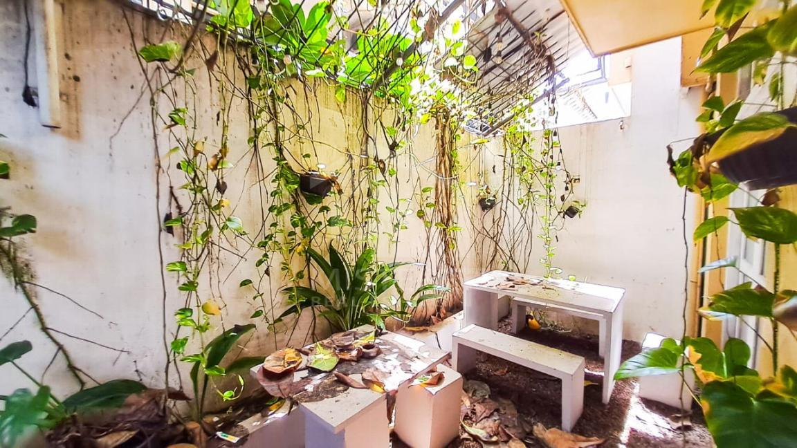 Commercial Property for Rent in Colombo 03- image 5