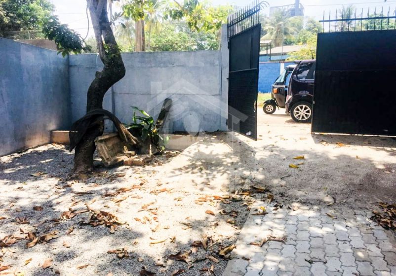 House for Rent in Colombo 05- image 5