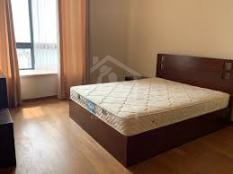 Apartment for Rent at Havelock City- image 2