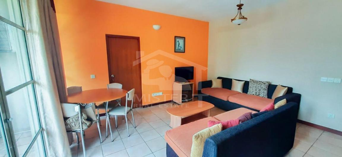 Private Apartment for Rent in Colombo 6- image 4