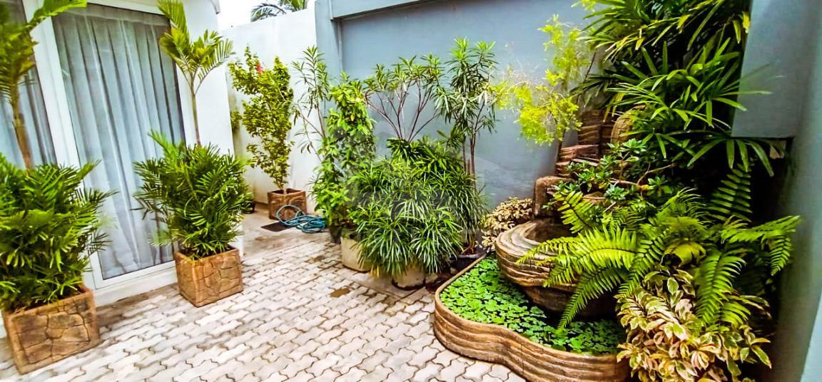 Commercial Property for Rent in Dehiwala - image 6