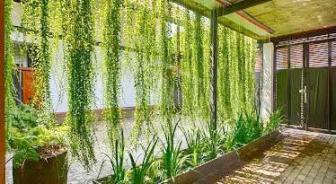 Commercial Property for Rent in Colombo- image 6