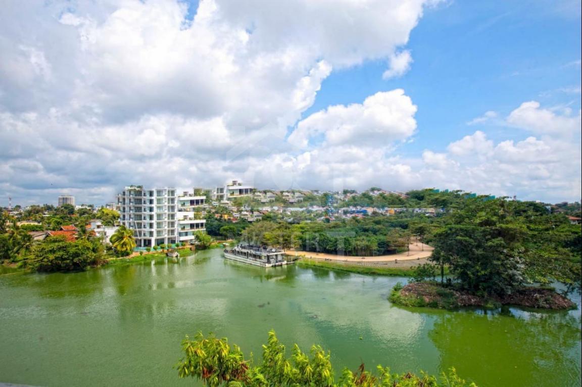 Apartment for Rent in Nawala- image 7