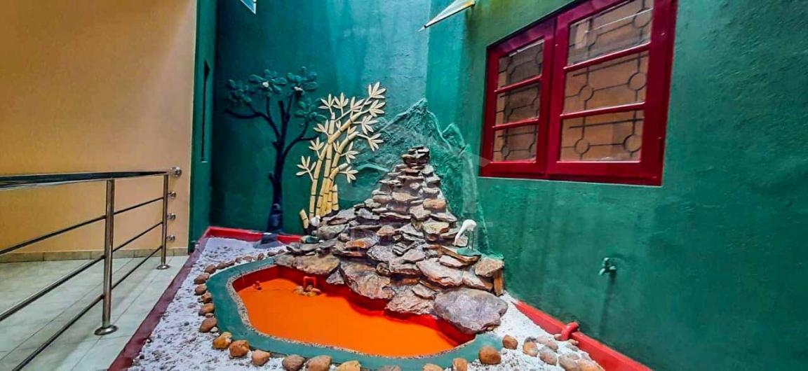 House for Rent in Kalubowila - image 7