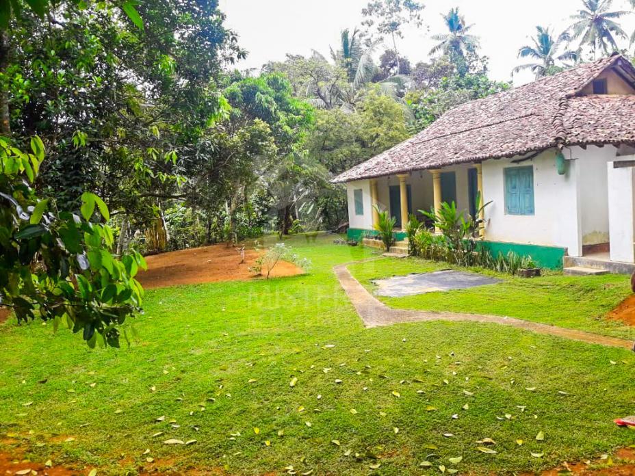House for Rent in Galle - image 1