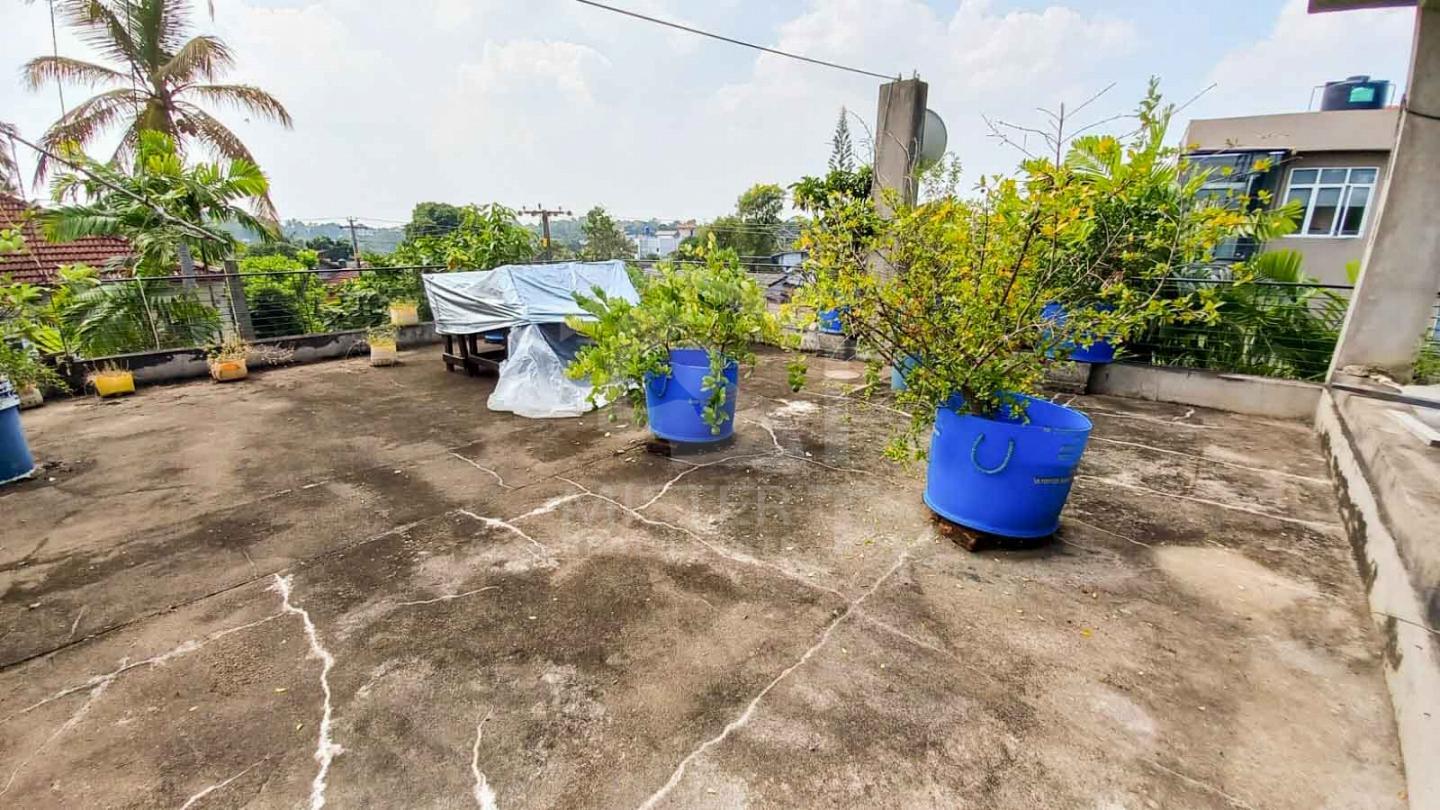 House for Rent in Kotte (First Floor Only)- image 5