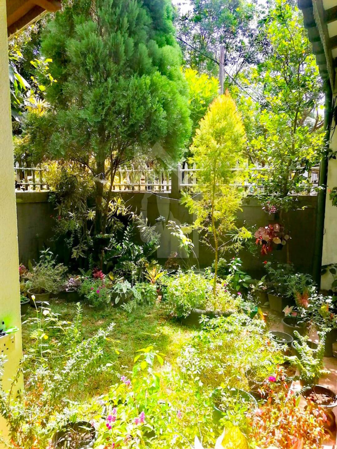 House for Sale in Ja-Ela- image 7