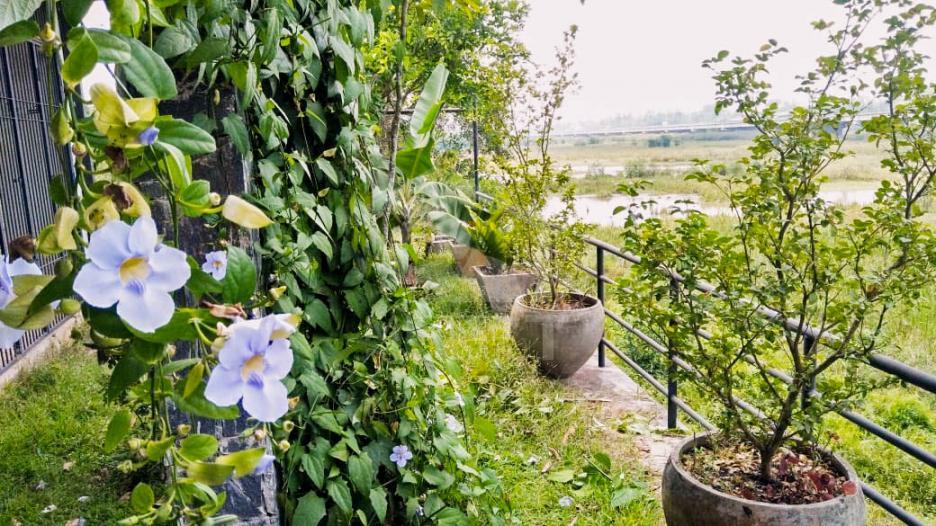 House for Sale in Malabe- image 6