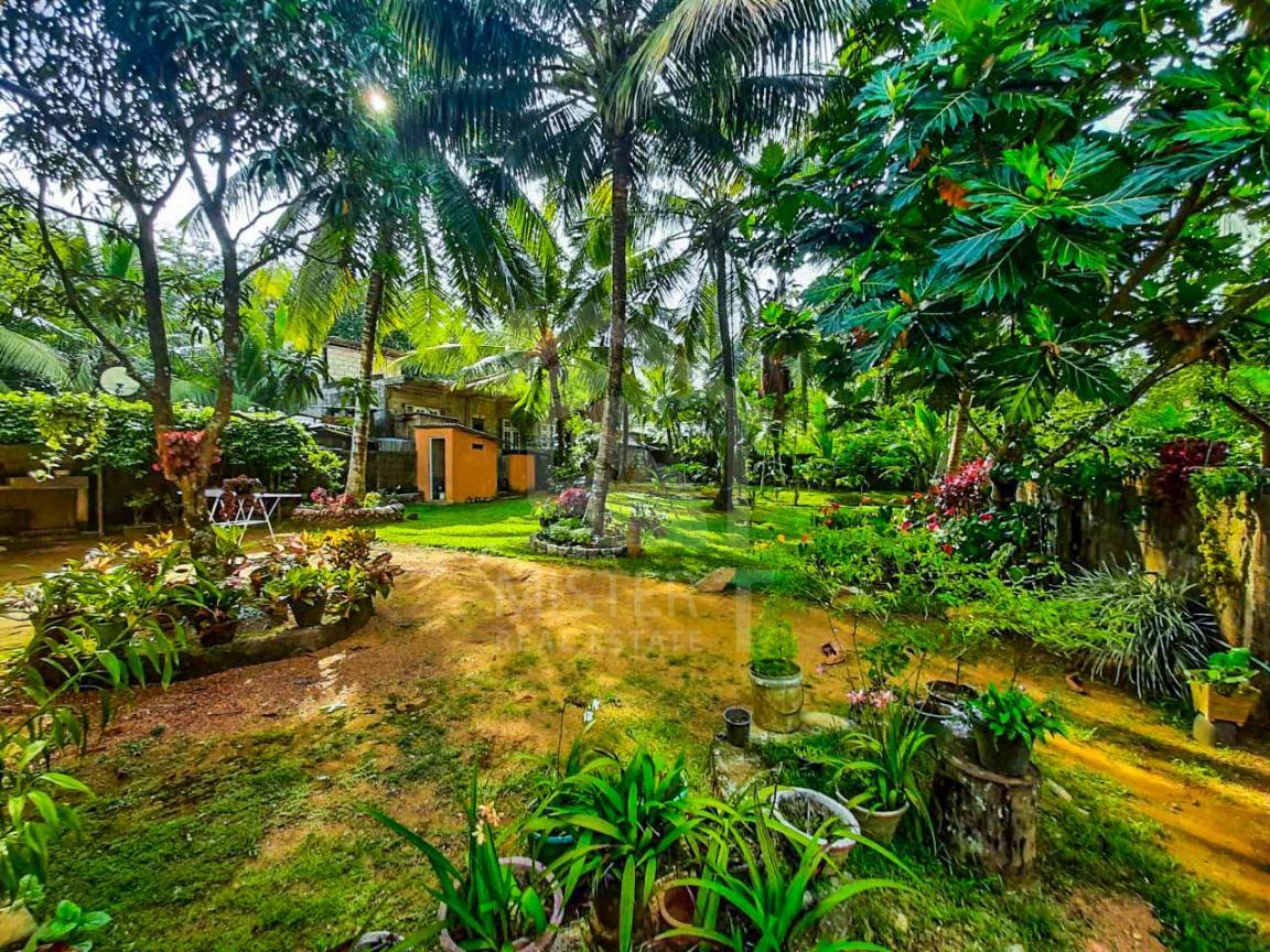 House for Sale in Homagama- image 6