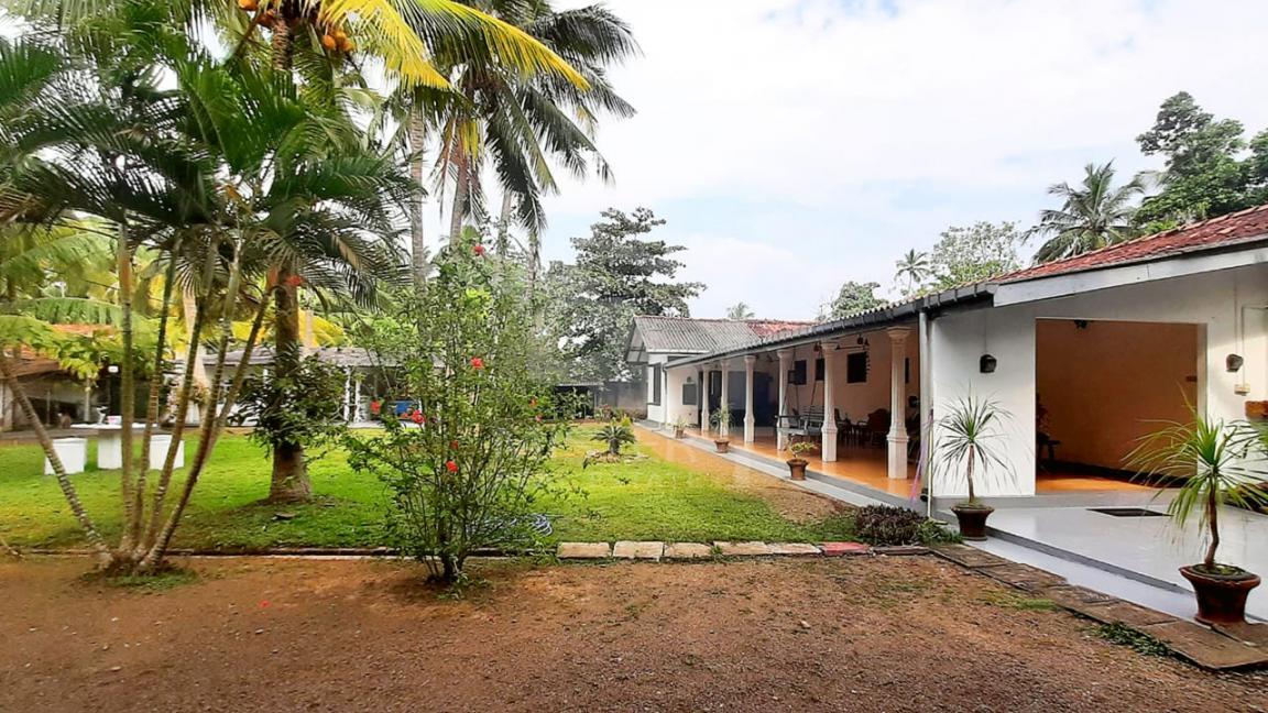 Bungalow for Sale in Induruwa - image 10