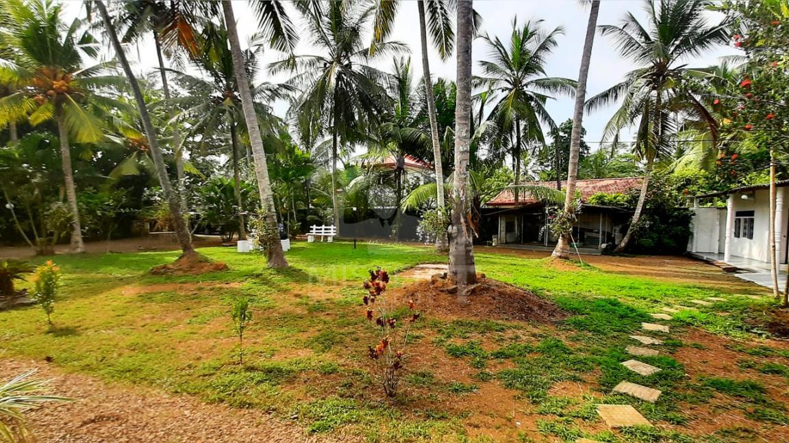 Bungalow for Sale in Induruwa - image 7