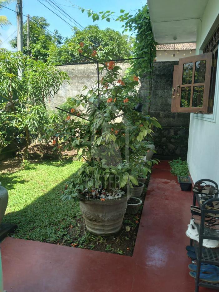 House for Sale in Nawagamuwa - image 9